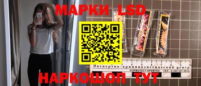 стафф Дубна