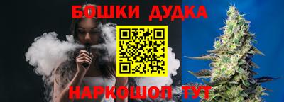стафф Дубна